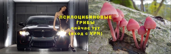 прущие крисы Елизово