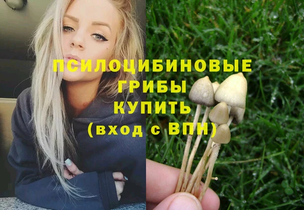 прущие крисы Елизово