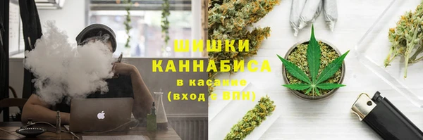 эйфоретик Ельня