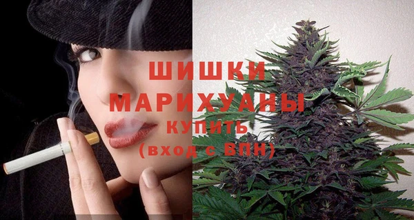 эйфоретик Ельня